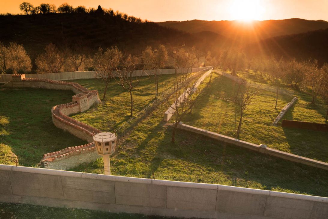 Vineyards at sunset in France